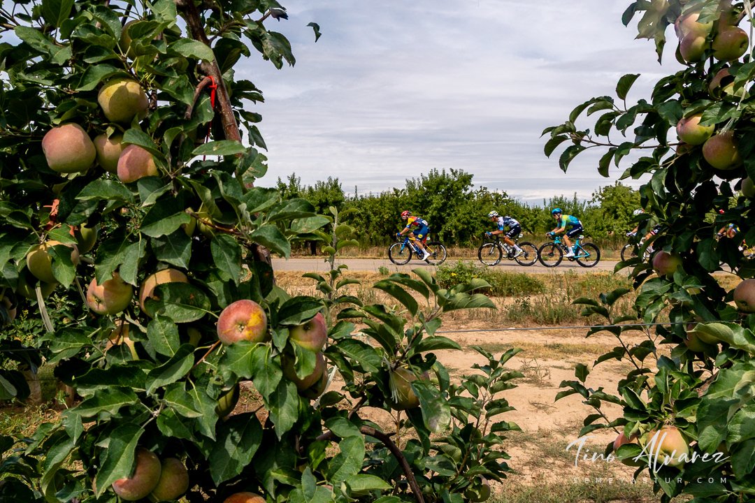 La Vuelta 2025 - Etapa 8 Monzón - Zaragoza