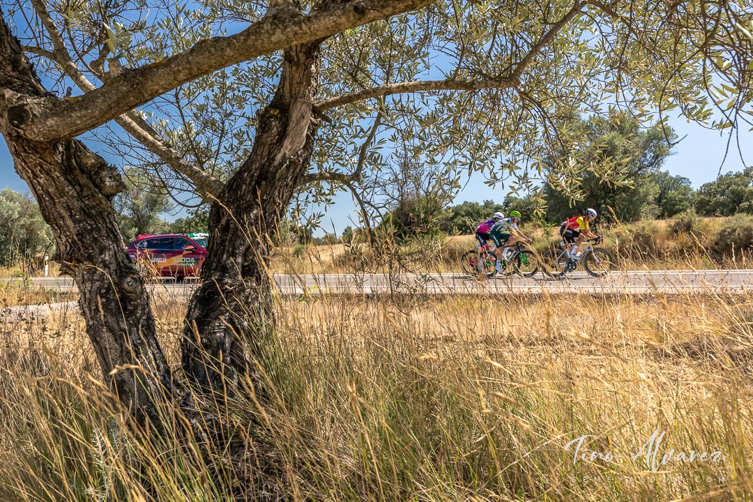 La Vuelta 2025 - Etapa 8 Monzón - Zaragoza