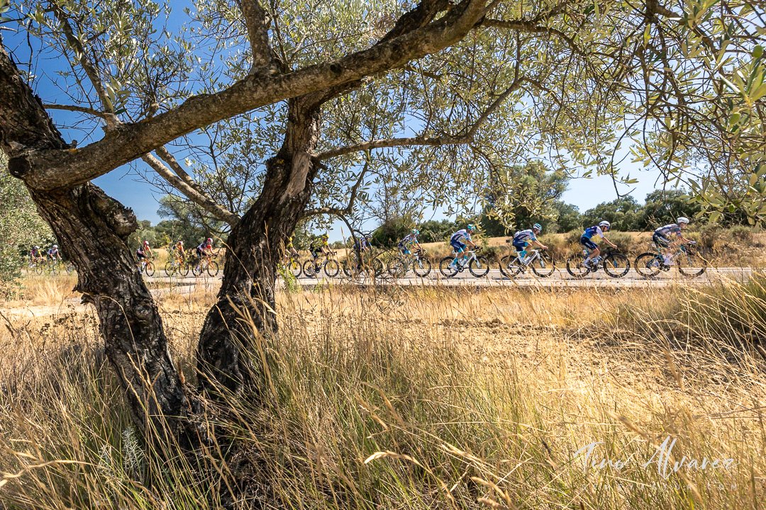 La Vuelta 2025 - Etapa 8 Monzón - Zaragoza