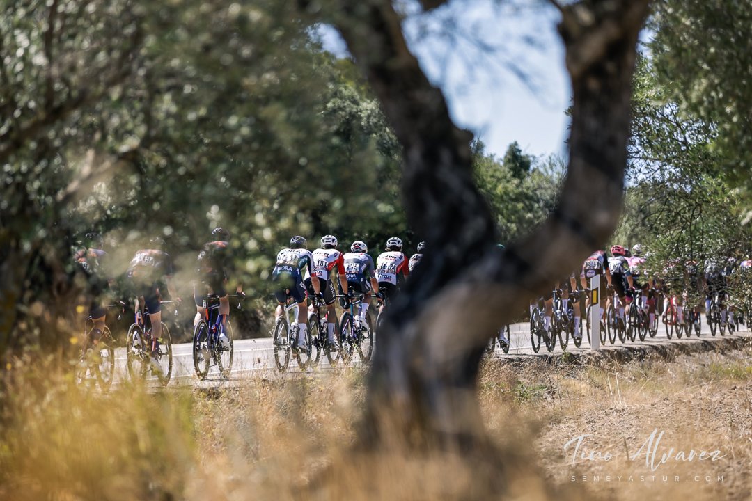 La Vuelta 2025 - Etapa 8 Monzón - Zaragoza